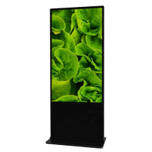 Vormatic 49" LCD Display напольный внутренний