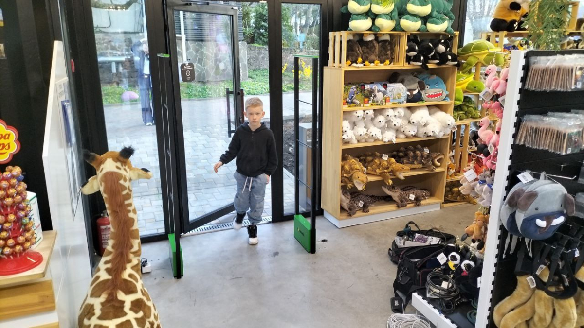 Магазин Сувениров, г. Ростов-на-Дону, ул. Зоологическая - 2 прохода по 1 метру2