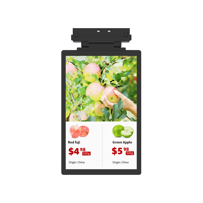 Электронный ценник Vormatic 10.1 LCD Dual2
